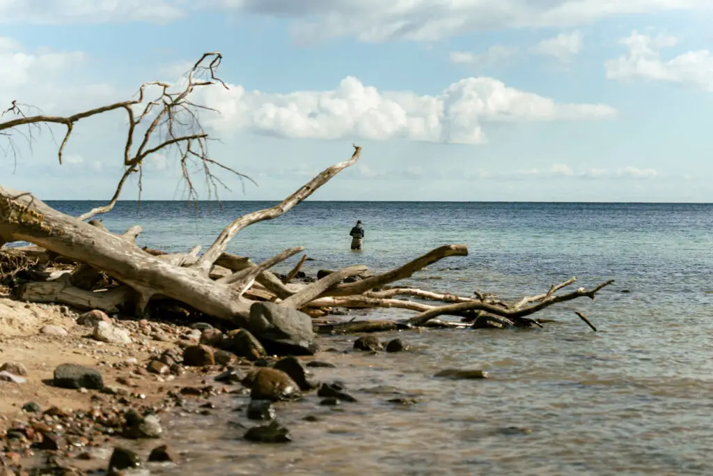 Fly fisherman in water