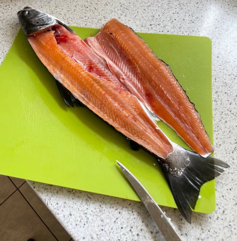 Filetting a sea trout with a filet knife