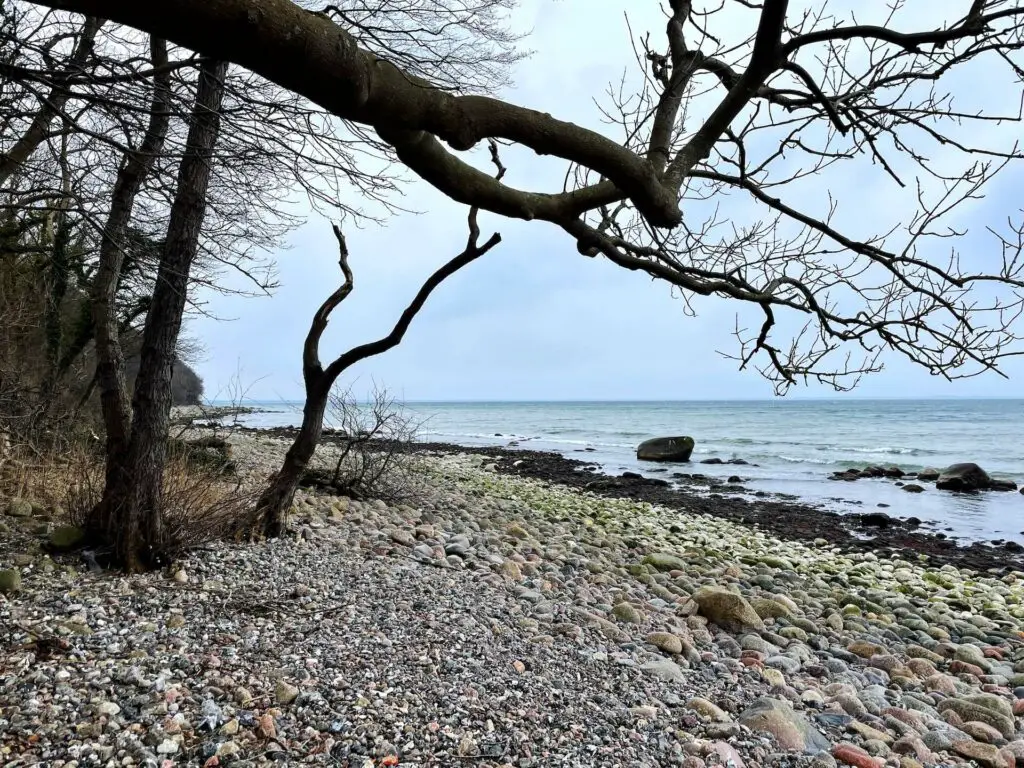 Sea trout fishing on the coast