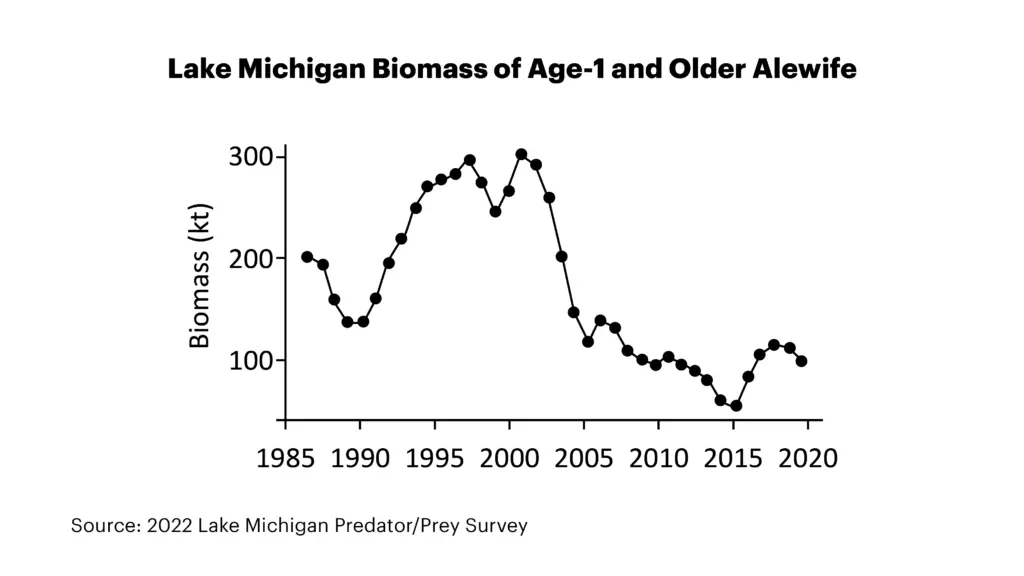 2022 Lake Michigan Alewife Biomass