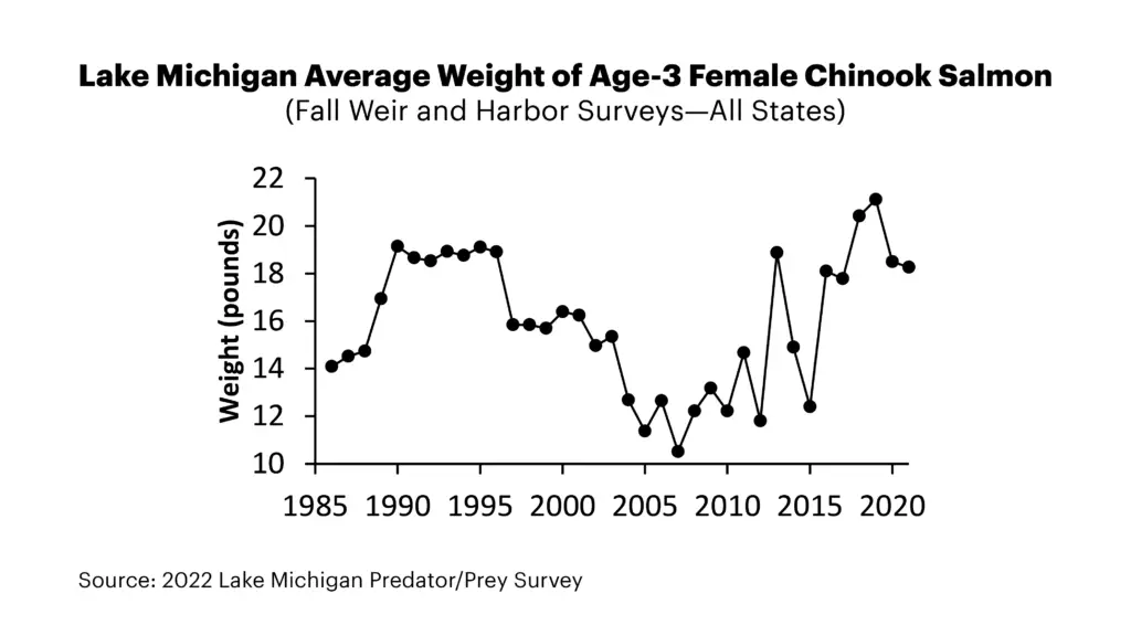2022 Lake Michigan Chinook Weight