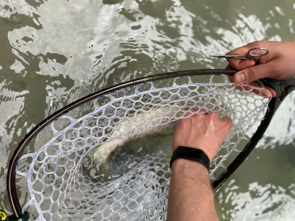 Fishpond Nomad Emerger: One of the best fly fishing nets out there on the market