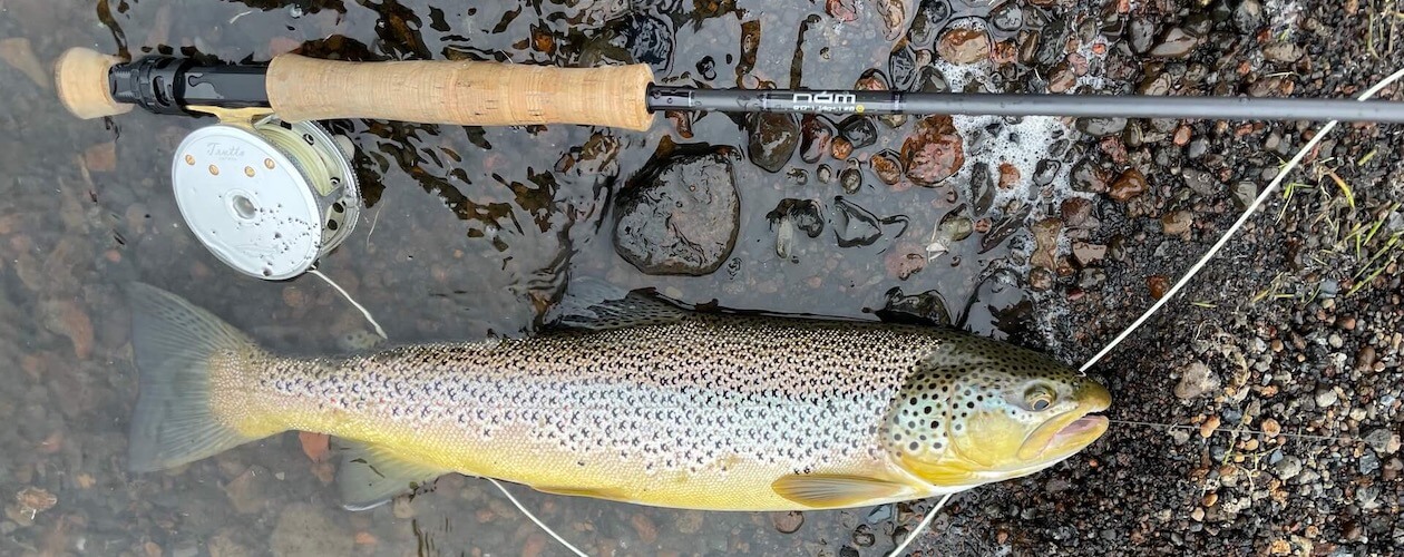 VR Fly Reel Review Trutta Perfetta S