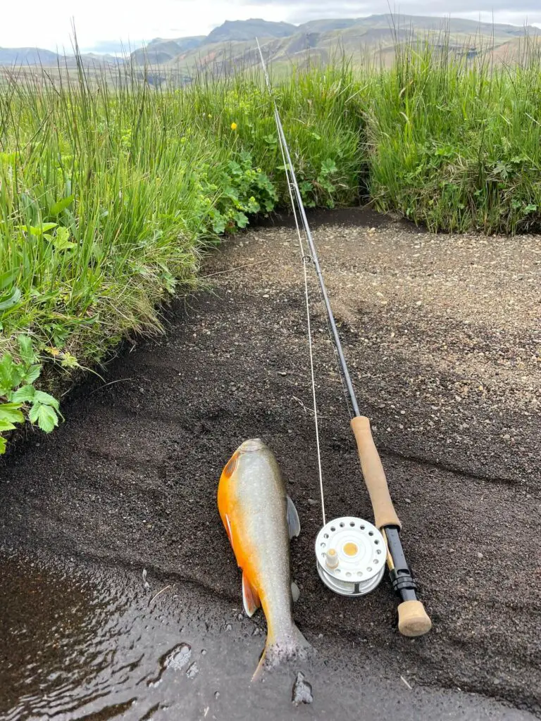 VR Trutta Perfetta Fly Reel with char on the shore