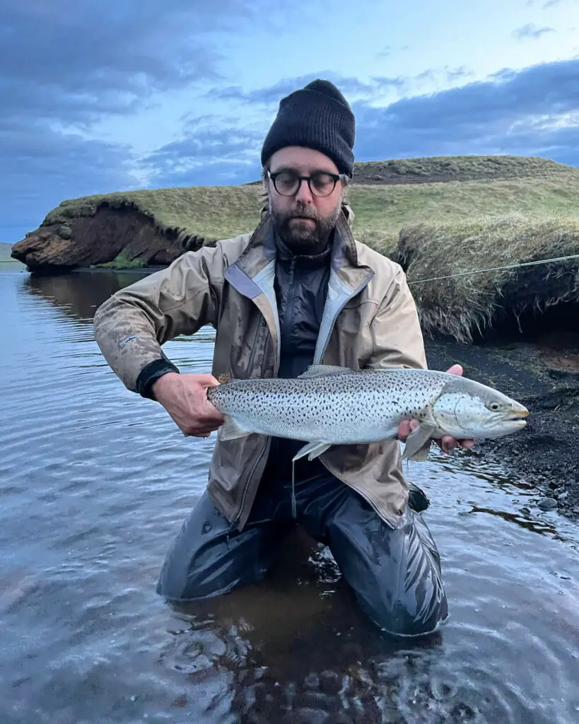 A big Iceland sea trout