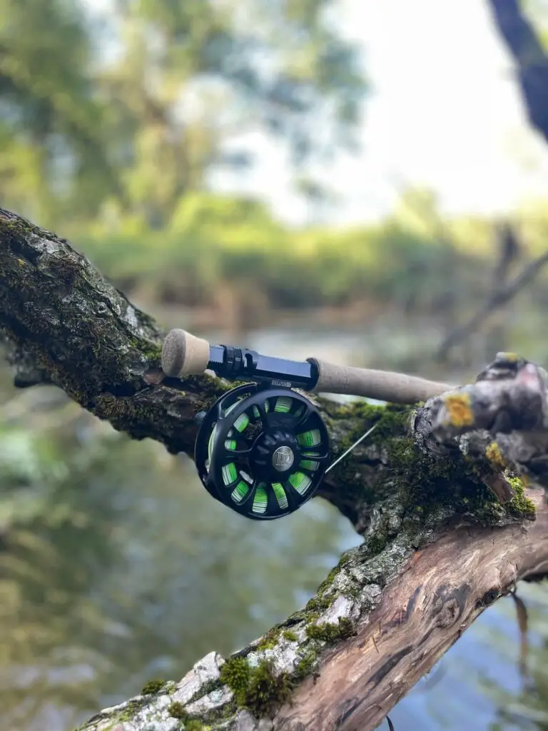 Ross Evolution FS Fly Reel on a branch by the water