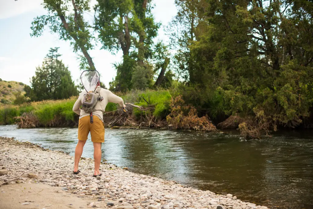 Fly Fisherman carrying a landing net on the back casting a fly rod