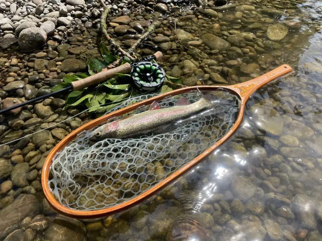 Brodin Tailwater Fly Fishing Net
