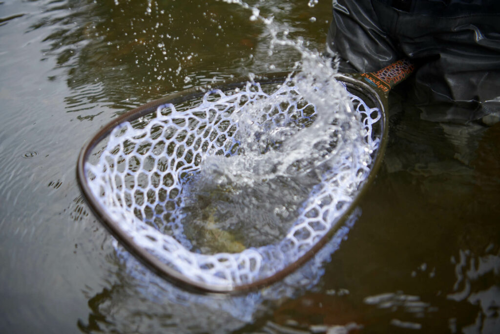 Fishpond Nomad Net Closeup