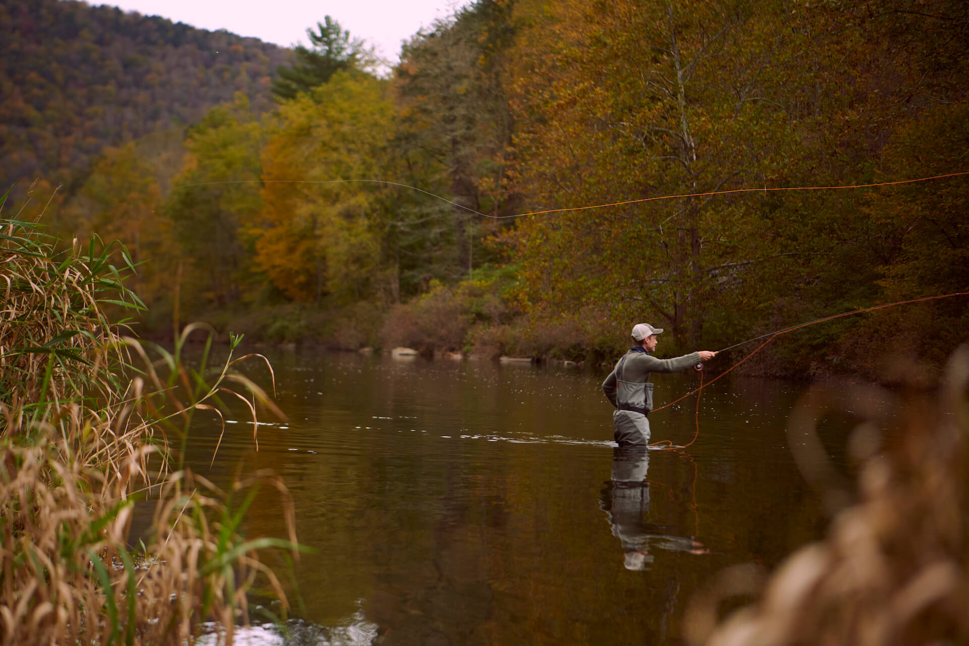 Casting to a rising brown trout on a fall day at the Eastbranch river in NY.