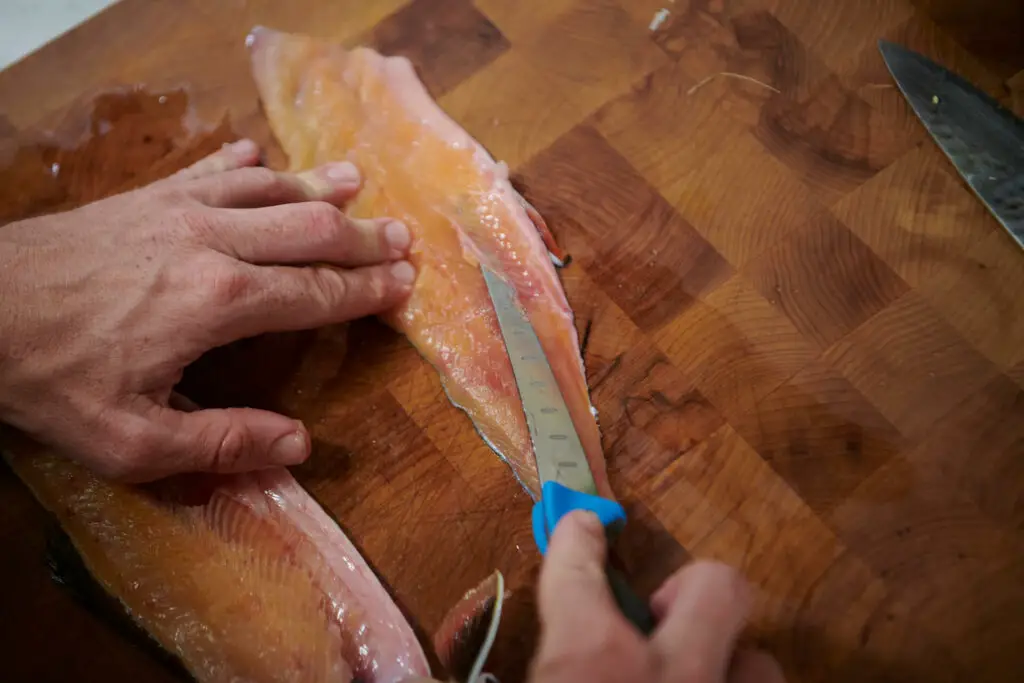 Filleting a trout with the Gerber folding fillet knife