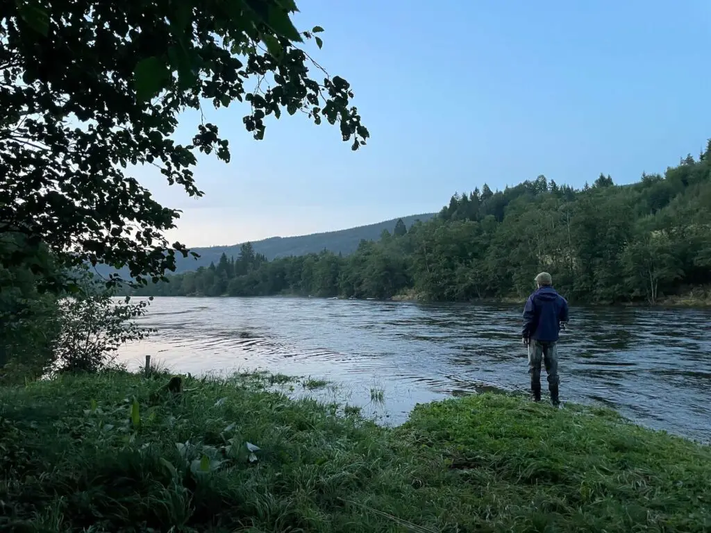 Fishing the Orkla river at Grindal at dawn