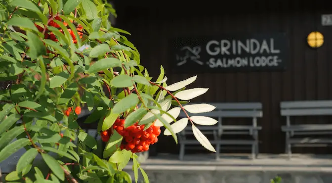 Grindal Salmon Lodge: An Atlantic Salmon Paradise