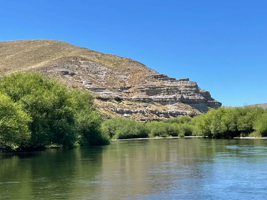 The Chimehuin River braids into willow-lined channels with the feel of small water and the possibility
of big fish. (Photos by Jim Schmiedeskamp)