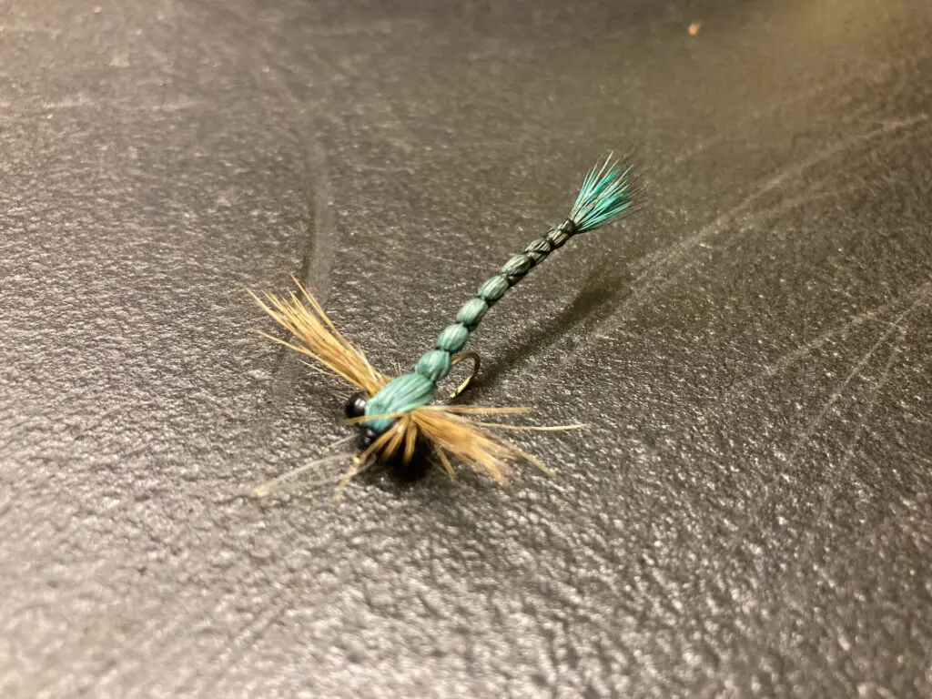 Green willow or inch worm and dragonfly patterns are productive in January. (Inch worm photo
courtesy of RiverKeeper Flies. Dragon fly photo courtesy of SET Fly Fishing).