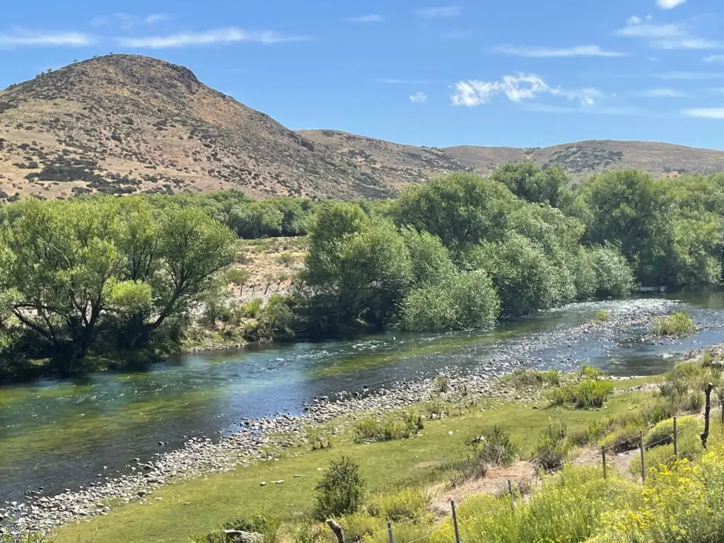 Malleo River Patagonia