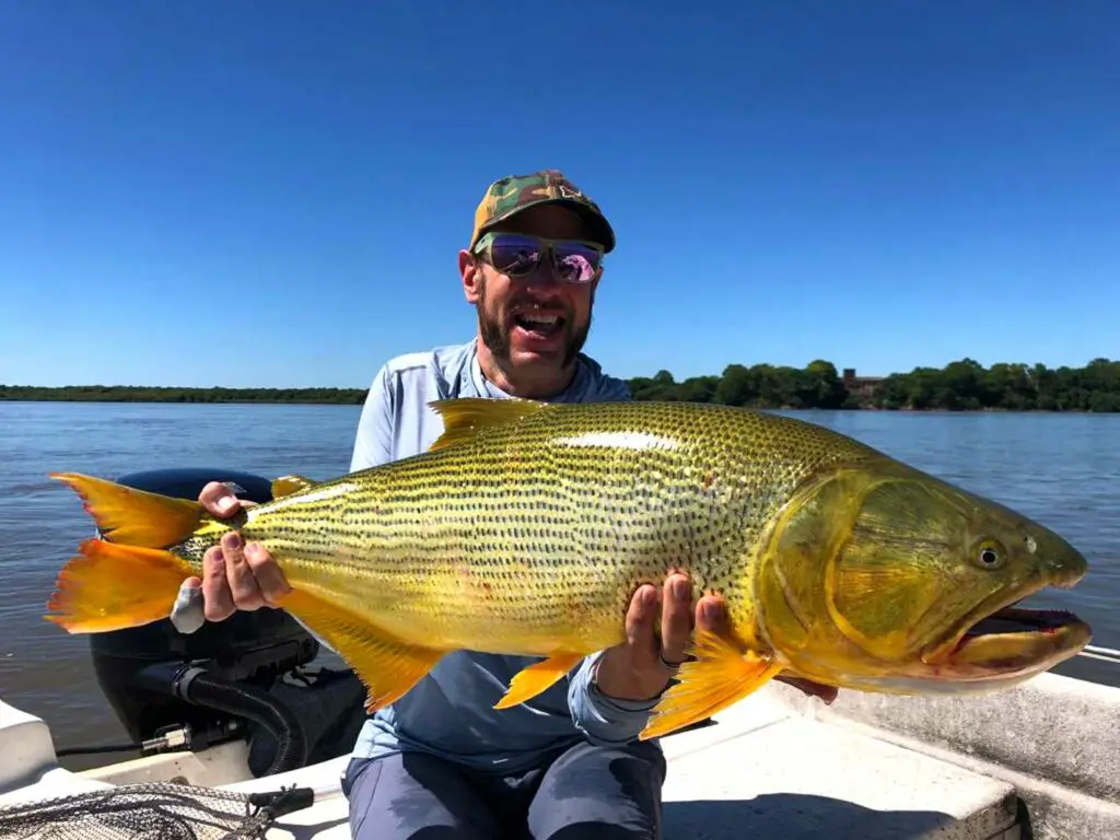 Mat Wagner with a trophy golden Dorado. (Photo courtesy of SET Fly Fishing)