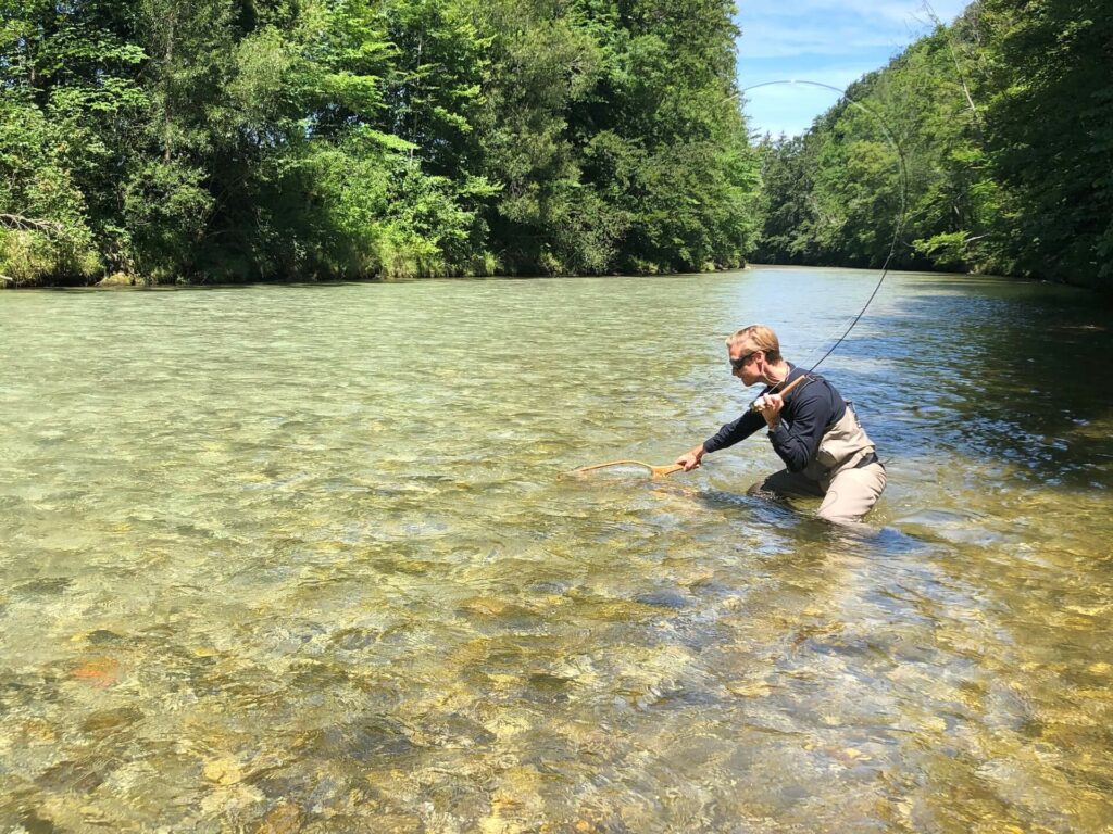 Fly fisherman netting a trout