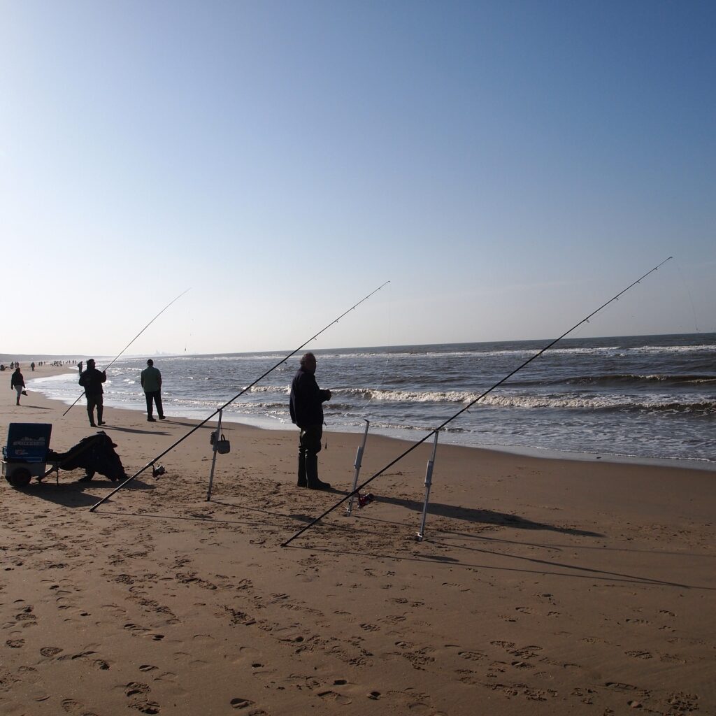 Fishing in Holland by the sea