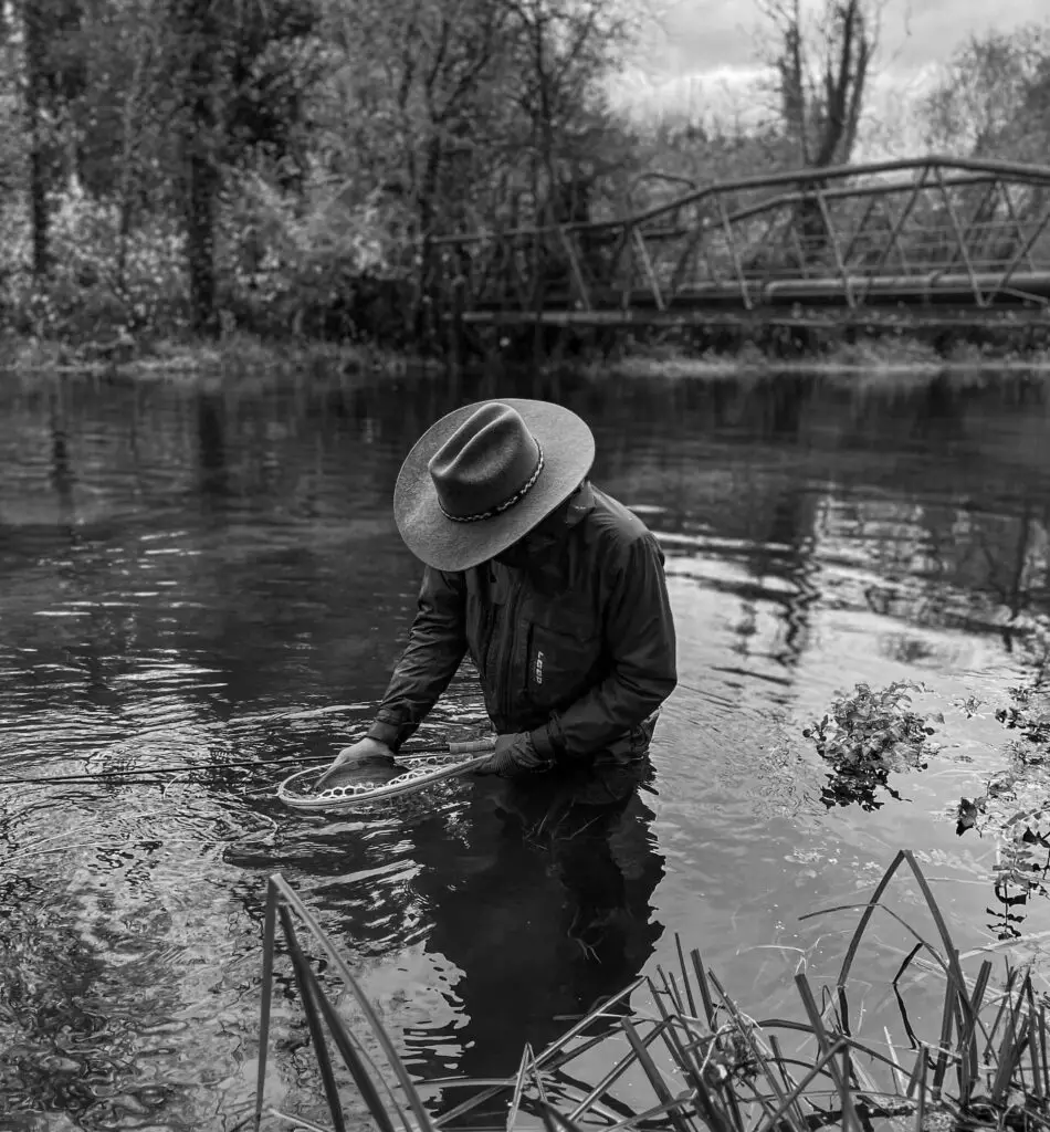 Releasing a grayling