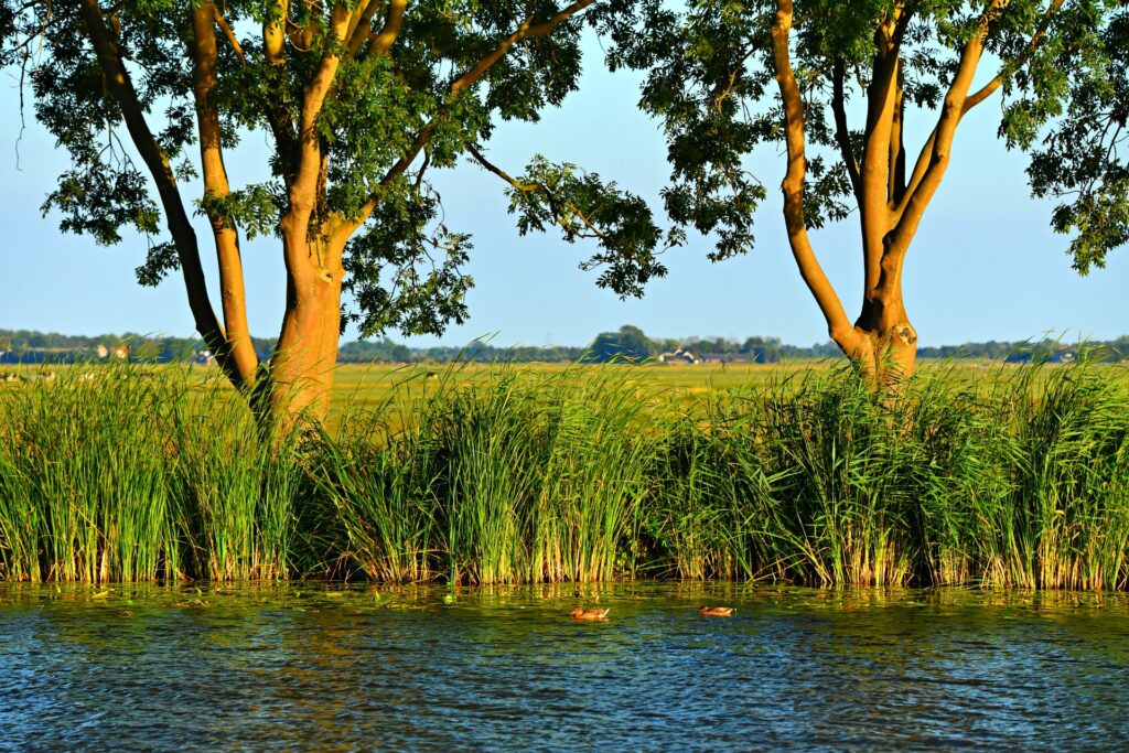 Freshwater fishing Holland