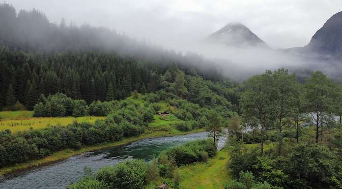 Salmon Solitude on the Eira River