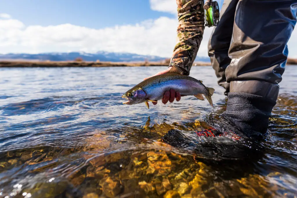 Testing thee Simms G3 Guide Boots on the water