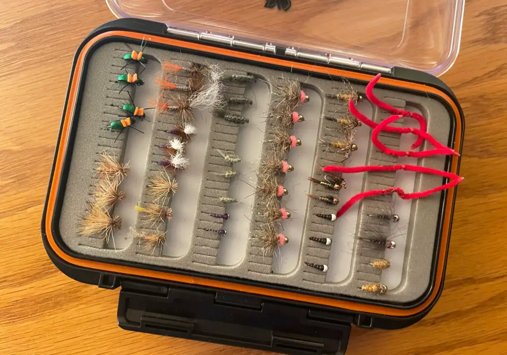 Flies in a fly box