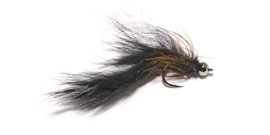 Hale Bopp Leach: Guide to the Best Flies for Driftless Area 