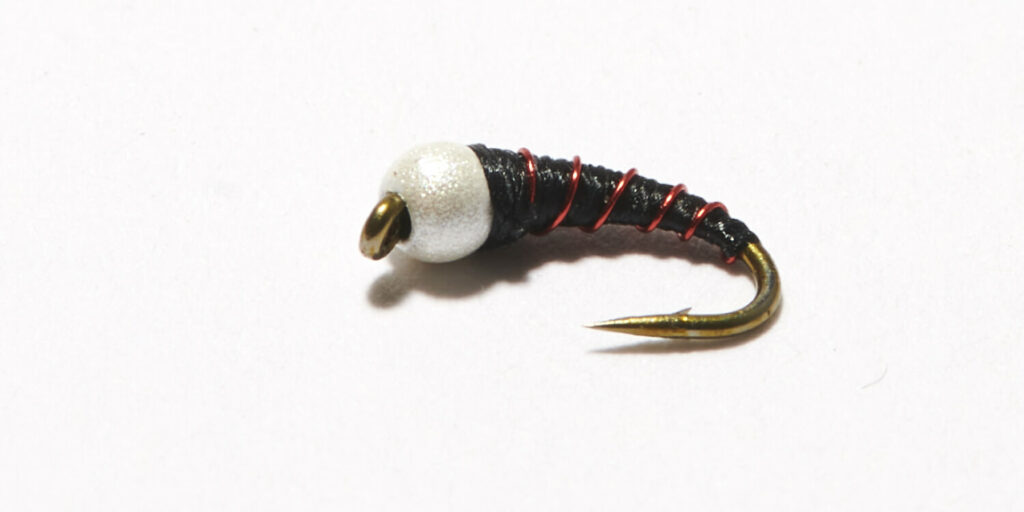 Ice Cream Cone Fly