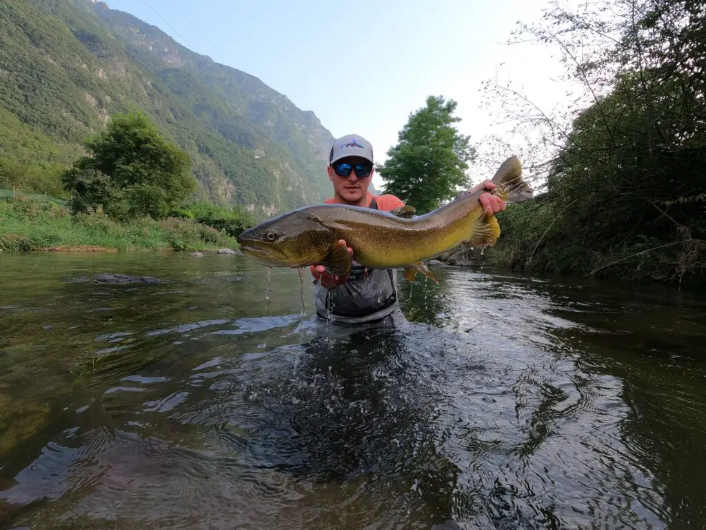 Stefano Fedrizzi Trout Trentino