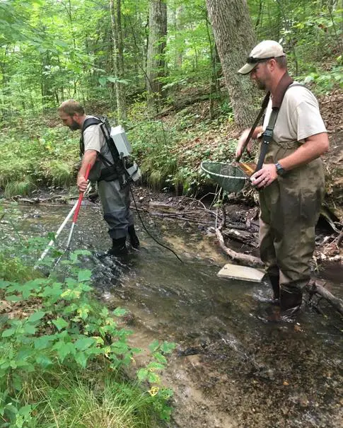 River systems were selected based on water temperature, pool and riffle habitat, nursery vegetation habitat, and spawning substrate plus gradient flow. (Michigan DNR photo)