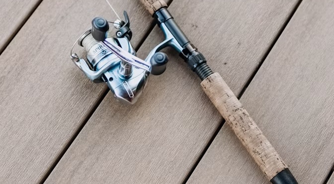 How to Choose a Fishing Rod: A Simple Guide for Beginners