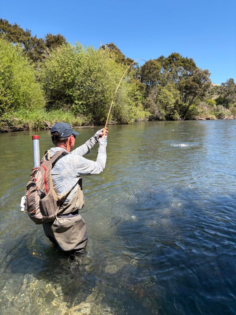 Playing a trout on a bamboo rod in New Zealand