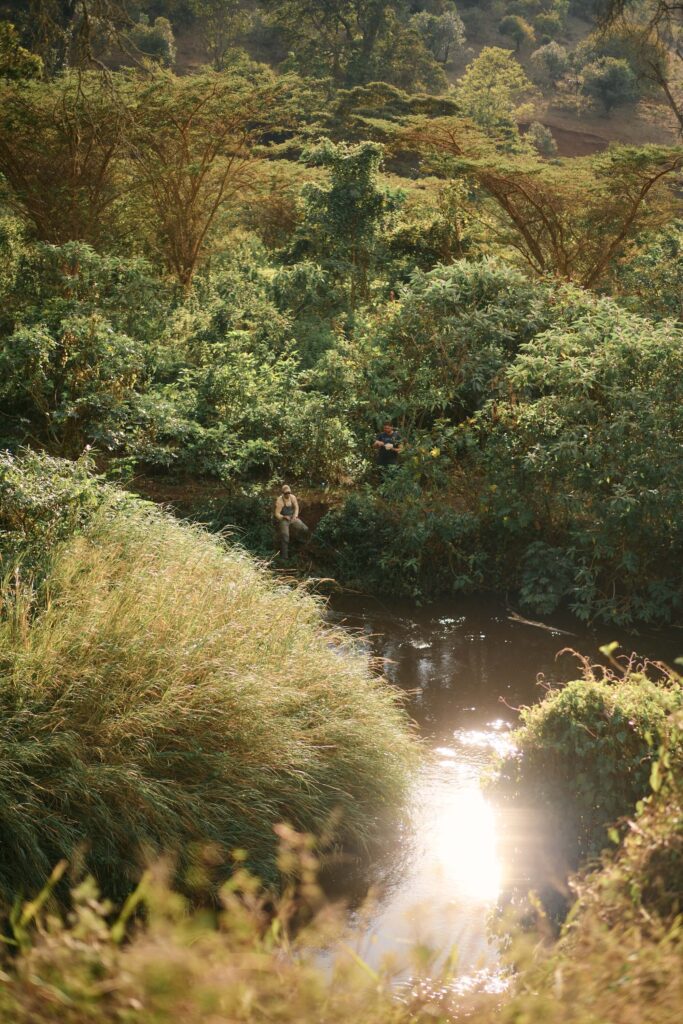 Fishing the Honi River in some sunshine