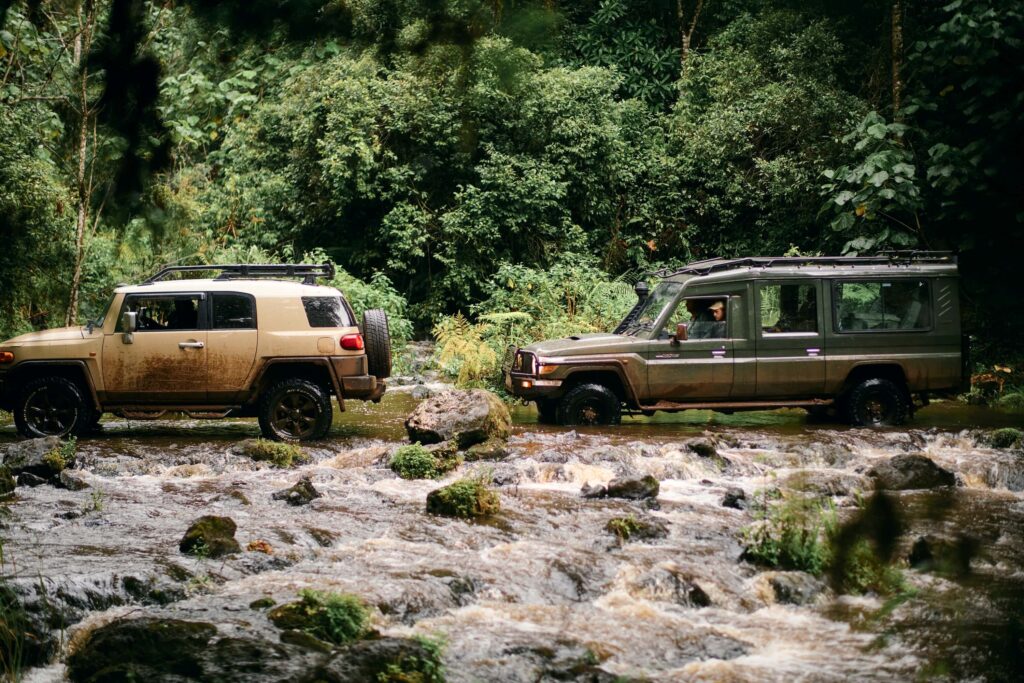 Cars in the Kenyan forest