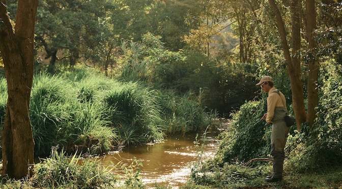 The Altitude of Ambition