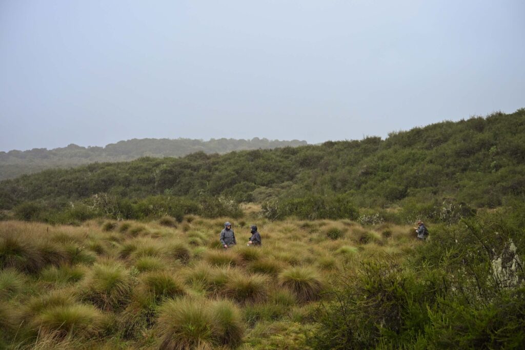 Fly fishermen in the Kenyan highlands