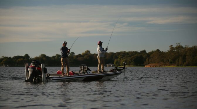 What Bait Do Bass Like