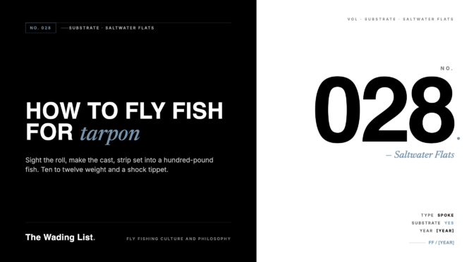 How to Fly Fish for Tarpon