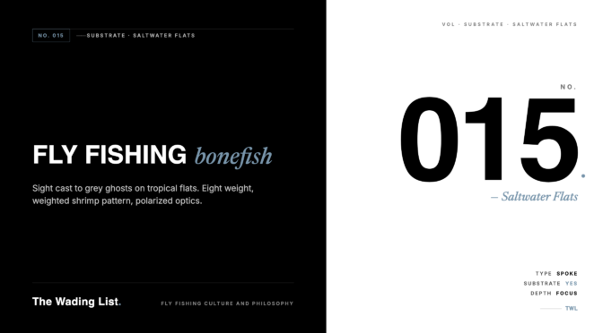 fly fishing bonefish