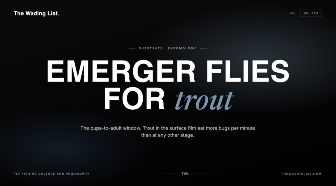 emerger flies for trout
