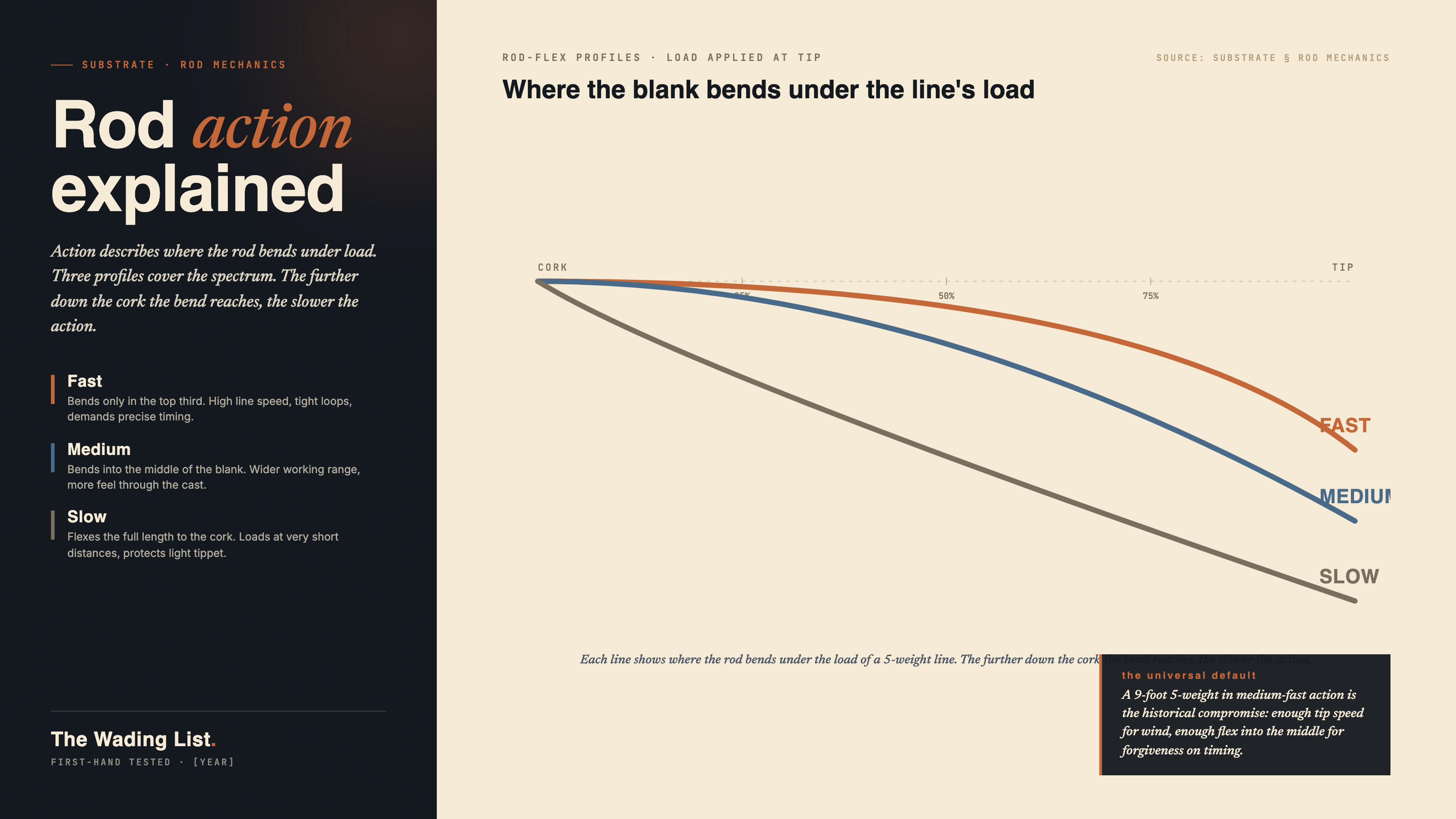 Three rod-flex profiles overlaid on the same axis. A fast action rod bends only in the top third near the tip. A medium action rod bends into the middle of the blank. A slow action rod flexes the full length from cork to tip.