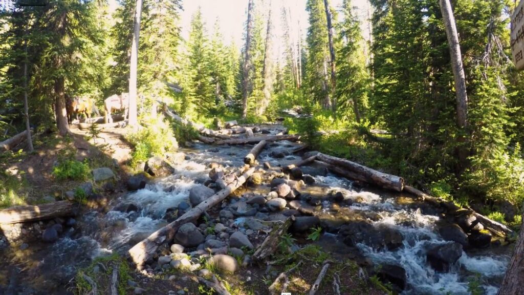 Two Ocean Creek dividing toward the Atlantic and Pacific watersheds