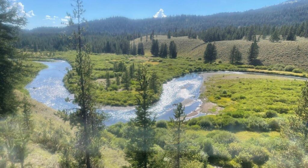 Buffalo Fork of the Snake River along the North Buffalo Fork Trail