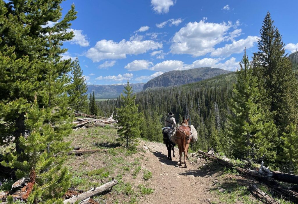 Pack train traversing a narrow ridge trail in the Teton Wilderness