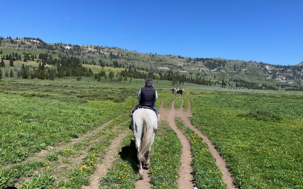 Pack train crossing a broad trail through a Thorofare meadow