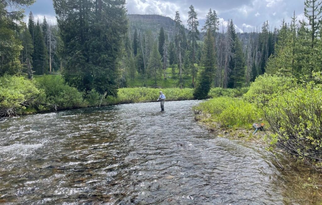Accessible spawning stream bed on Atlantic Creek