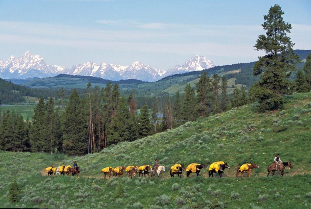 Yellowstone Outfitters pack train heading to the Thorofare with the Teton Mountains behind