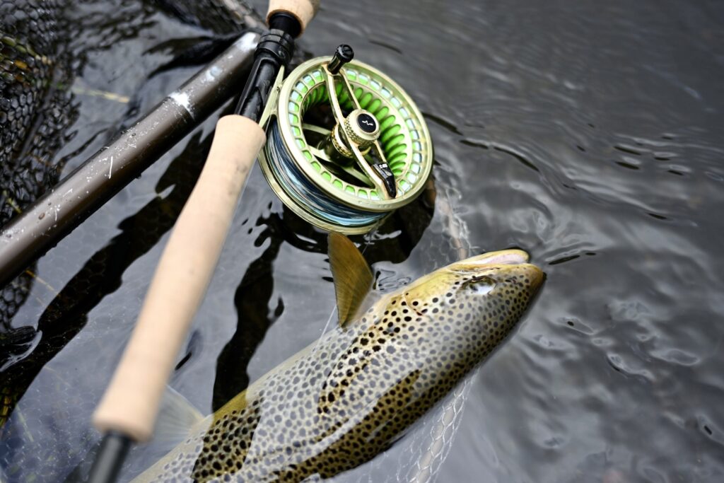 Guideline Fario Fly Reel Closeup Trout